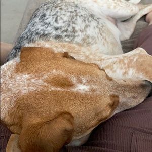 Meet your Posher, Kara